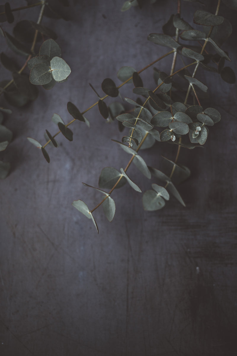 Top 5 needs for essential oils