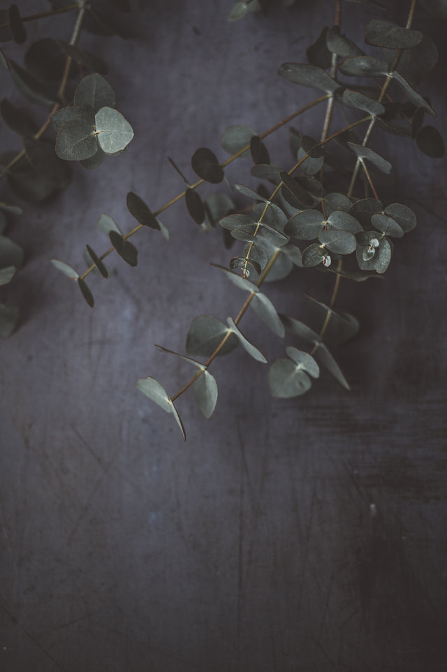 Top 5 needs for essential oils