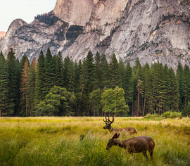 July is National Park Month